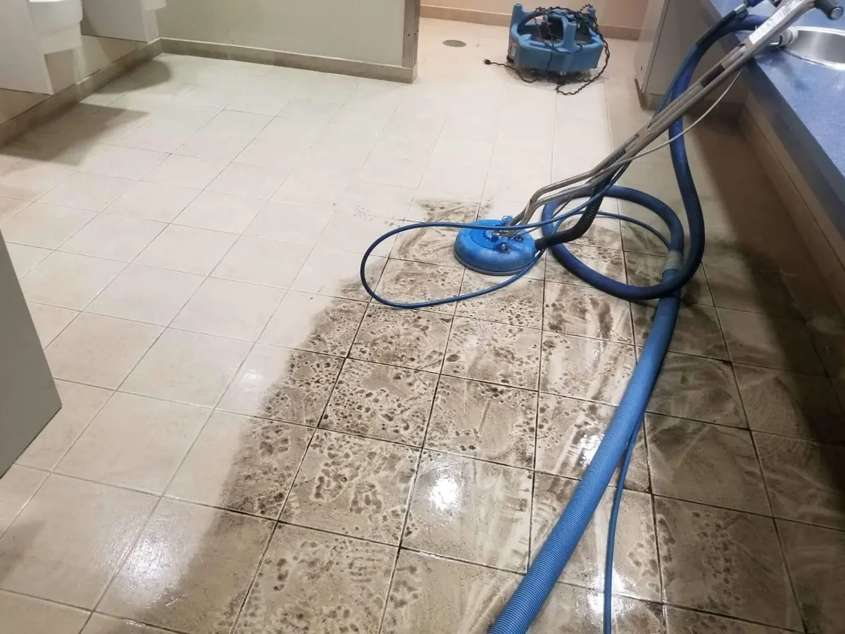Tile & Grout Cleaning